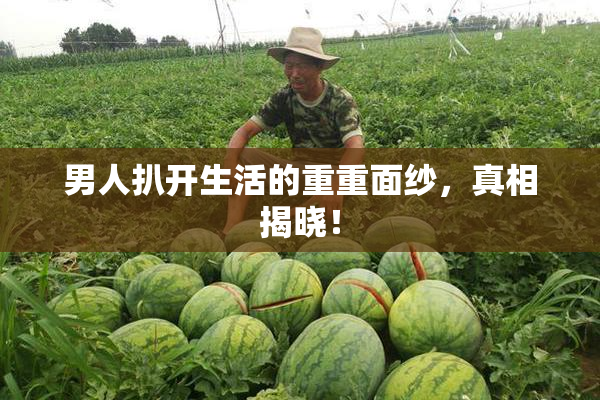 男人扒开生活的重重面纱，真相揭晓！