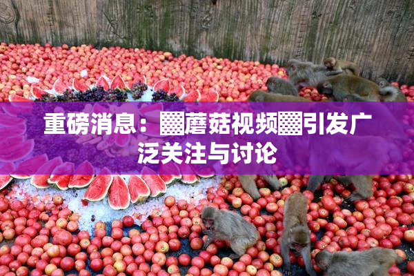 重磅消息：▓蘑菇视频▓引发广泛关注与讨论