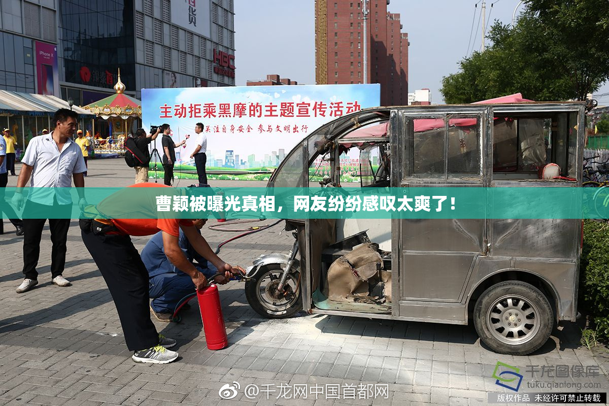 曹颖被曝光真相，网友纷纷感叹太爽了！
