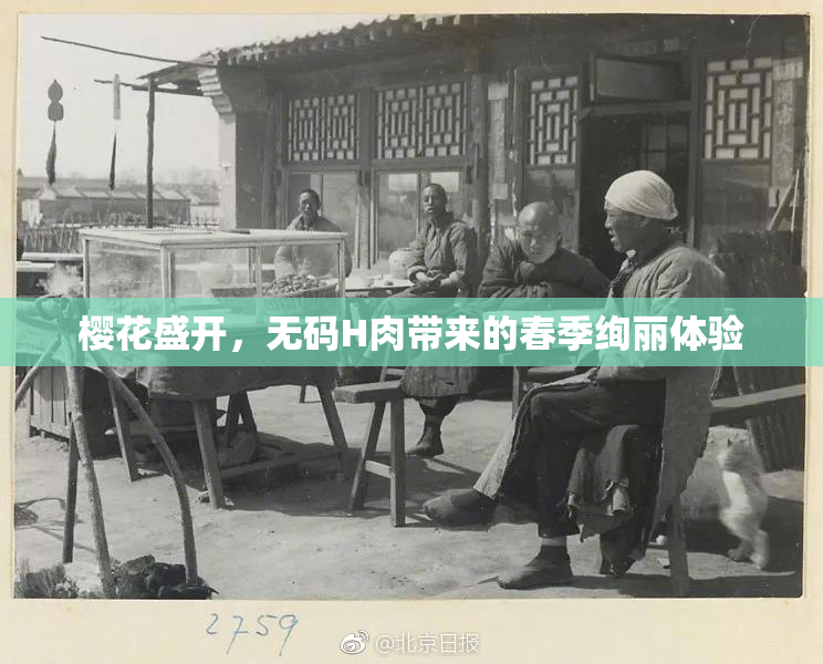樱花盛开，无码H肉带来的春季绚丽体验