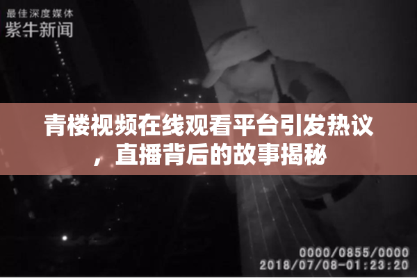 青楼视频在线观看平台引发热议，直播背后的故事揭秘