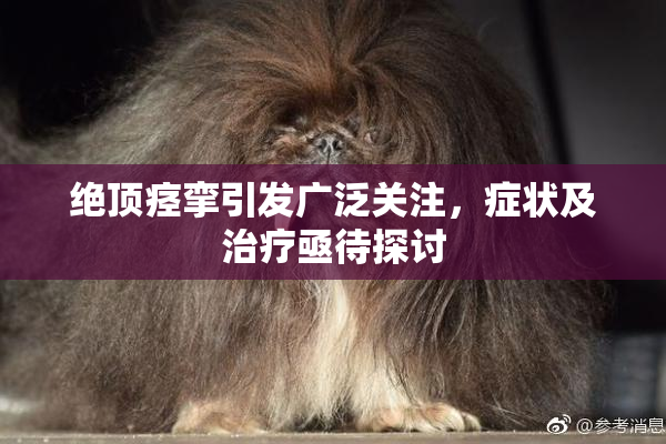 绝顶痉挛引发广泛关注，症状及治疗亟待探讨