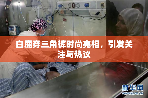 白鹿穿三角裤时尚亮相，引发关注与热议