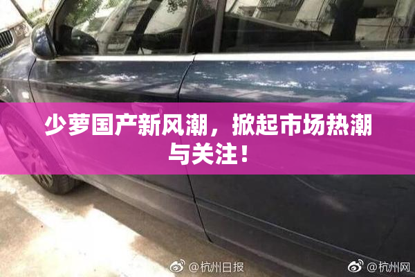 少萝国产新风潮，掀起市场热潮与关注！