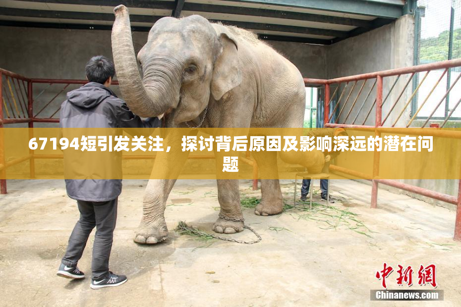 67194短引发关注，探讨背后原因及影响深远的潜在问题