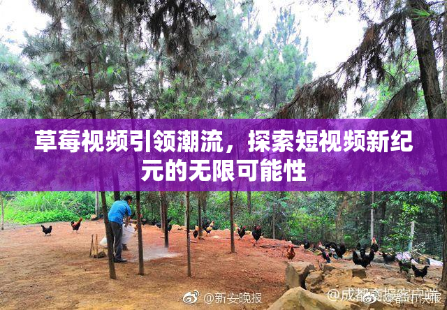 草莓视频引领潮流，探索短视频新纪元的无限可能性