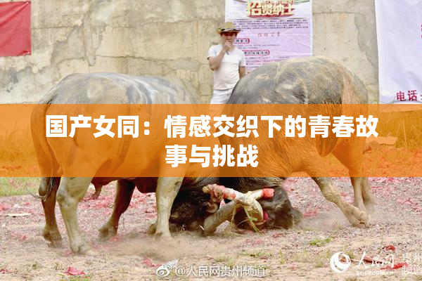 国产女同：情感交织下的青春故事与挑战