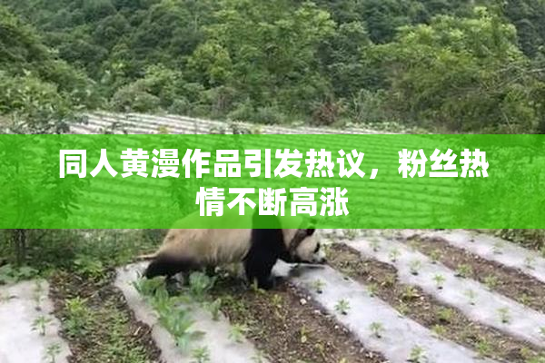 同人黄漫作品引发热议，粉丝热情不断高涨
