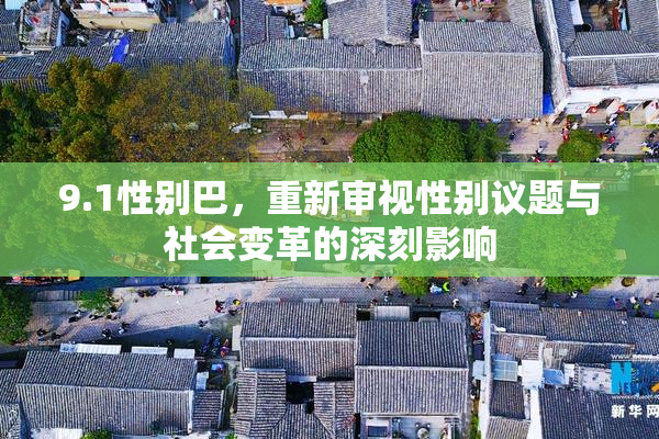 9.1性别巴，重新审视性别议题与社会变革的深刻影响