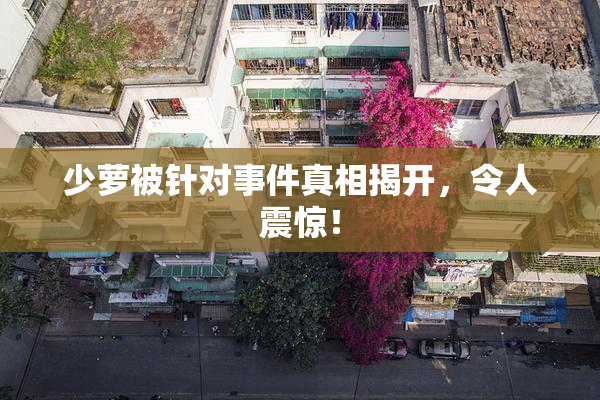 少萝被针对事件真相揭开，令人震惊！