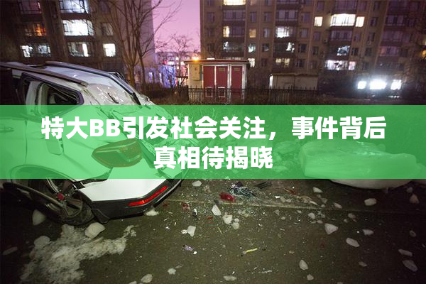 特大BB引发社会关注，事件背后真相待揭晓