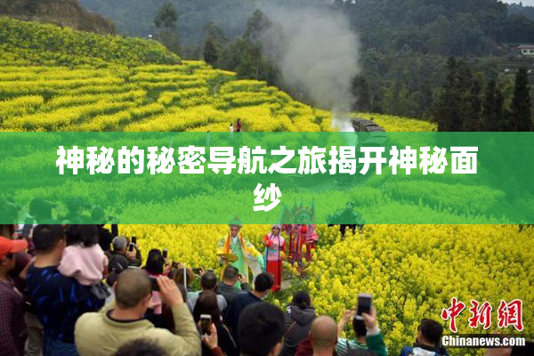 神秘的秘密导航之旅揭开神秘面纱