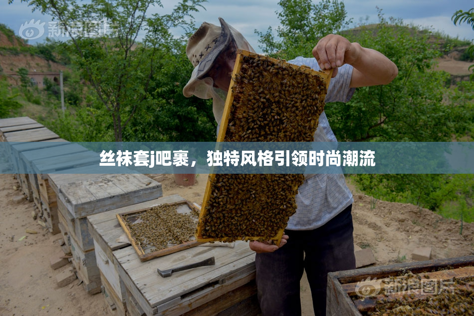 丝袜套j吧裹，独特风格引领时尚潮流