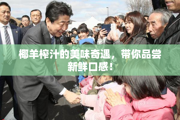椰羊榨汁的美味奇遇，带你品尝新鲜口感！