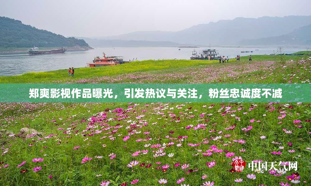 郑爽影视作品曝光，引发热议与关注，粉丝忠诚度不减