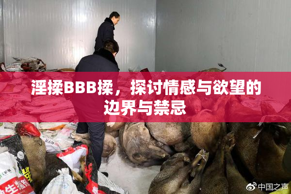 淫揉BBB揉，探讨情感与欲望的边界与禁忌
