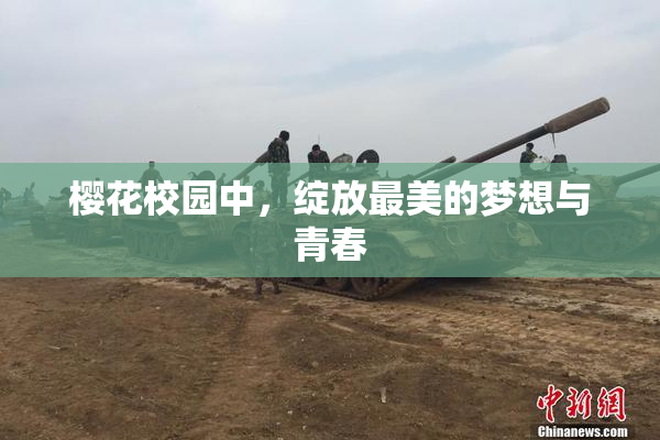 樱花校园中，绽放最美的梦想与青春