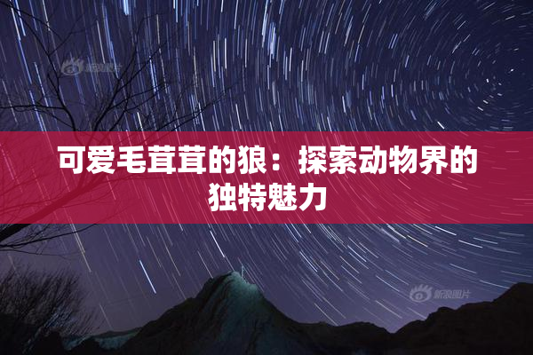 可爱毛茸茸的狼：探索动物界的独特魅力