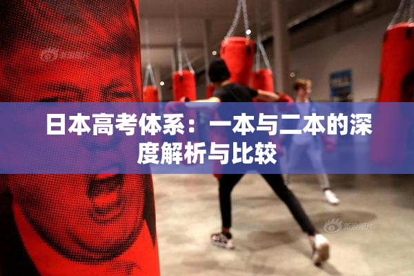 日本高考体系：一本与二本的深度解析与比较