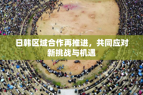 日韩区域合作再推进，共同应对新挑战与机遇