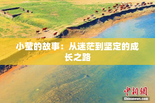 小莹的故事：从迷茫到坚定的成长之路