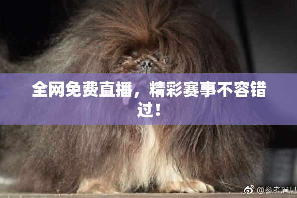 全网免费直播，精彩赛事不容错过！