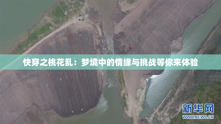 快穿之桃花乱：梦境中的情缘与挑战等你来体验