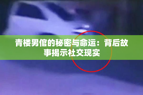 青楼男倌的秘密与命运：背后故事揭示社交现实