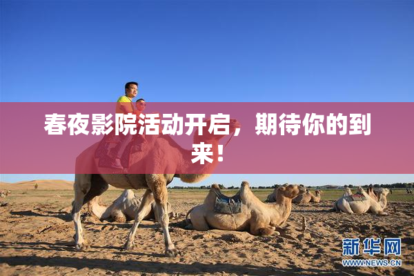 春夜影院活动开启，期待你的到来！