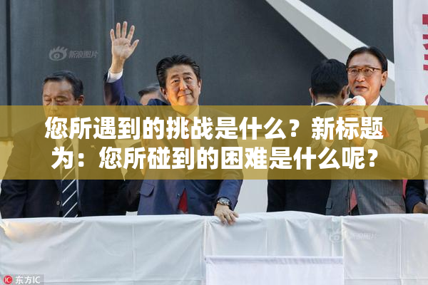 您所遇到的挑战是什么？新标题为：您所碰到的困难是什么呢？