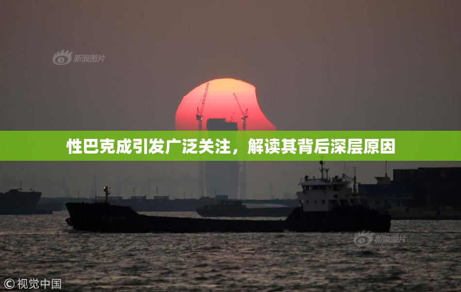 性巴克成引发广泛关注，解读其背后深层原因
