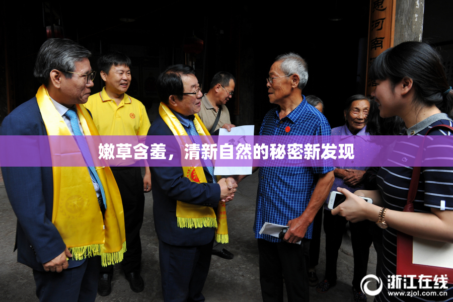 嫩草含羞，清新自然的秘密新发现
