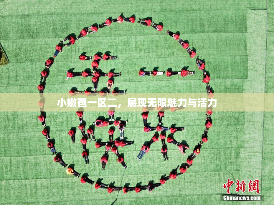 小嫩苞一区二，展现无限魅力与活力