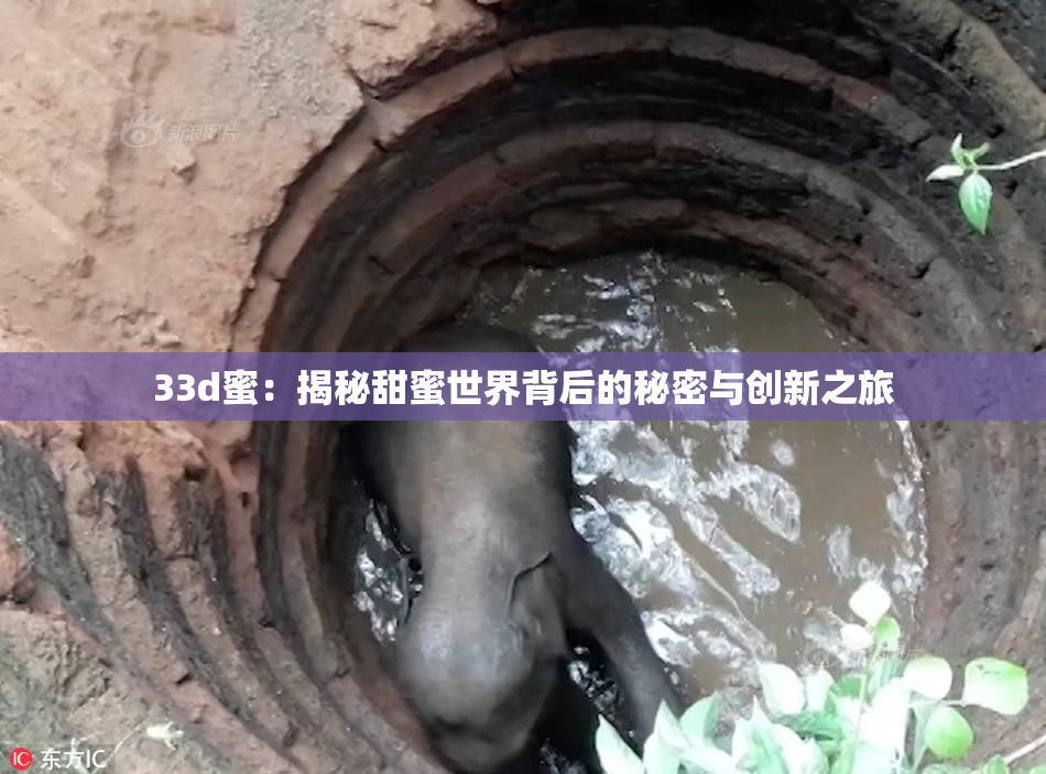 33d蜜：揭秘甜蜜世界背后的秘密与创新之旅