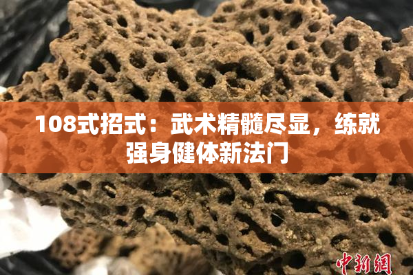 108式招式：武术精髓尽显，练就强身健体新法门
