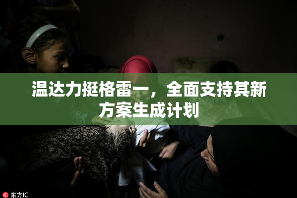 温达力挺格雷一，全面支持其新方案生成计划