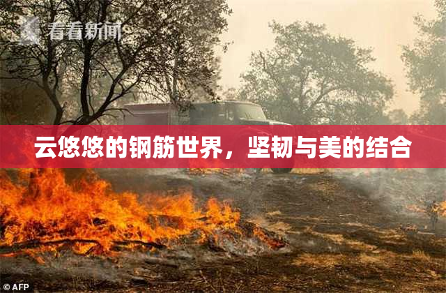 云悠悠的钢筋世界，坚韧与美的结合