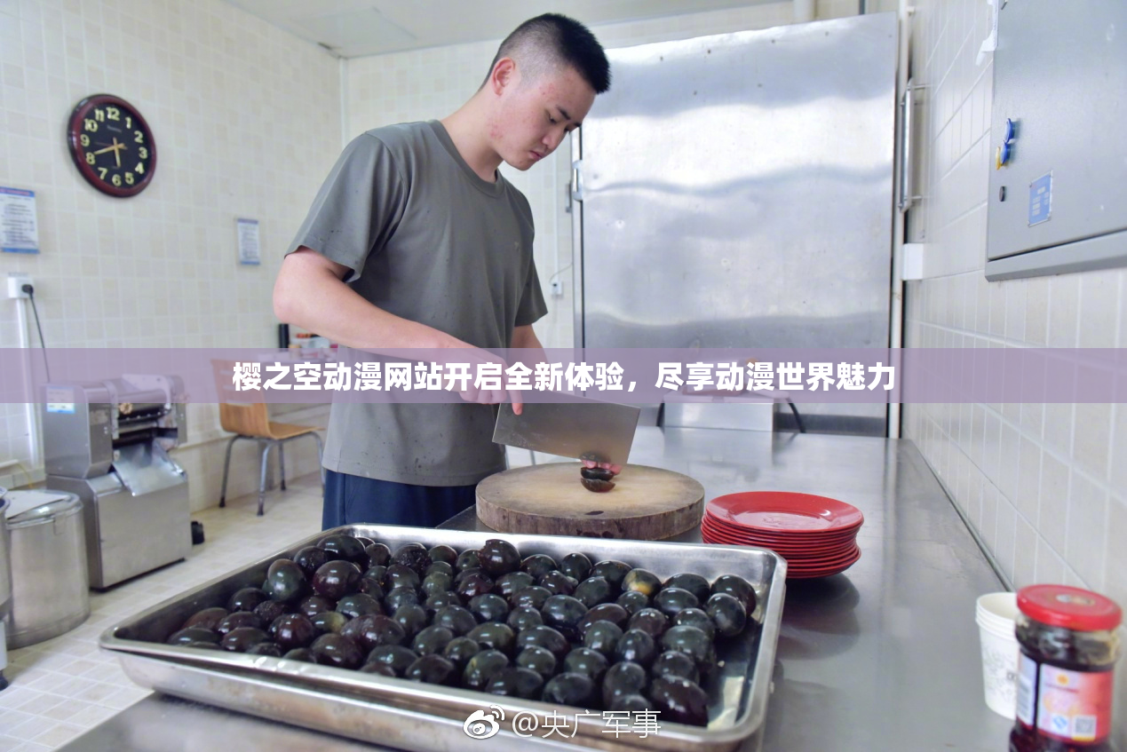 樱之空动漫网站开启全新体验，尽享动漫世界魅力