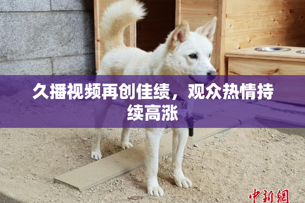久播视频再创佳绩，观众热情持续高涨
