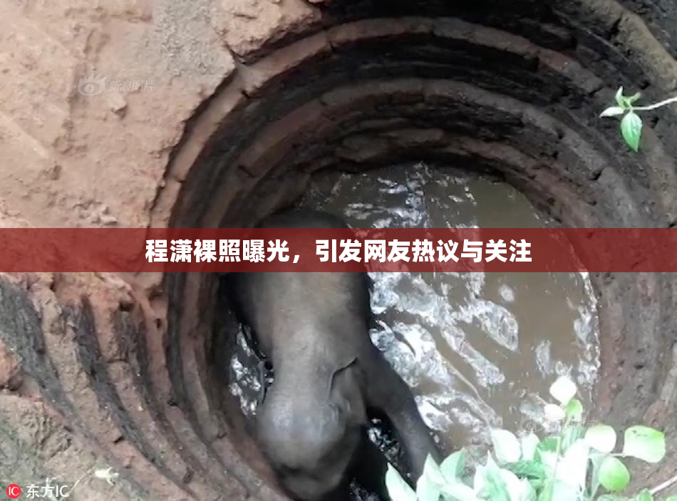 程潇裸照曝光，引发网友热议与关注