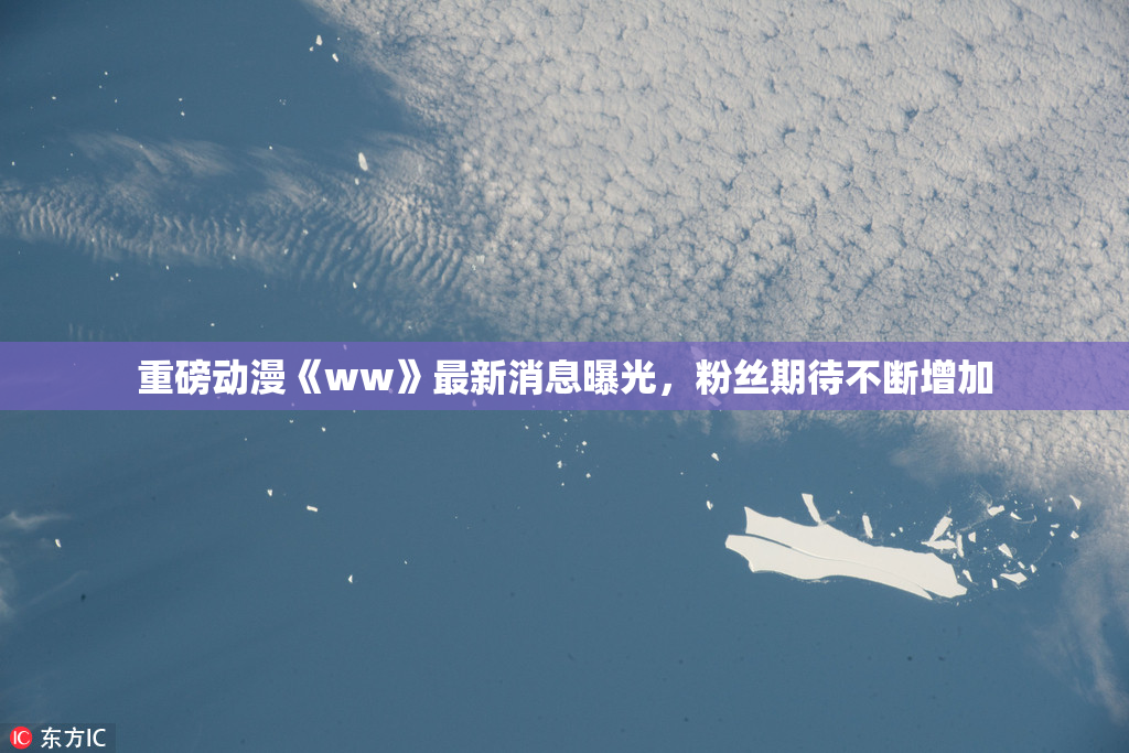 重磅动漫《ww》最新消息曝光，粉丝期待不断增加