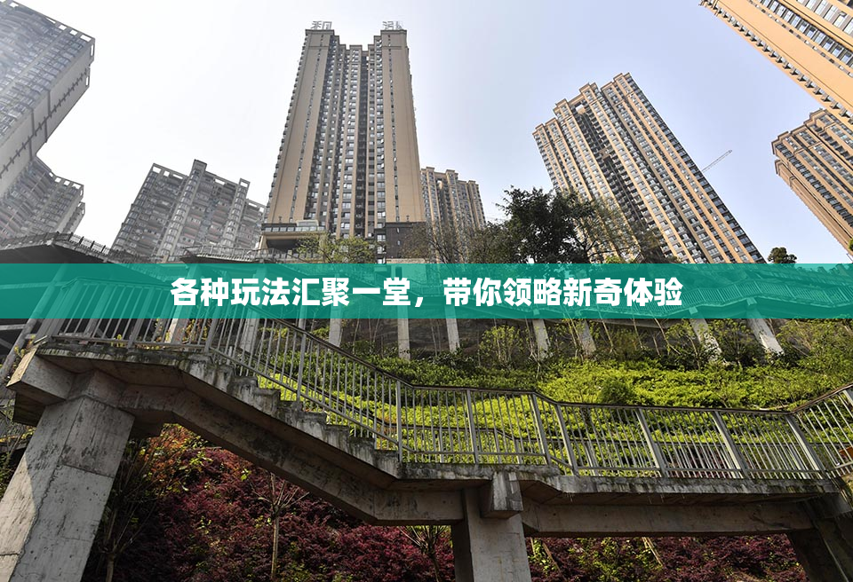 各种玩法汇聚一堂，带你领略新奇体验
