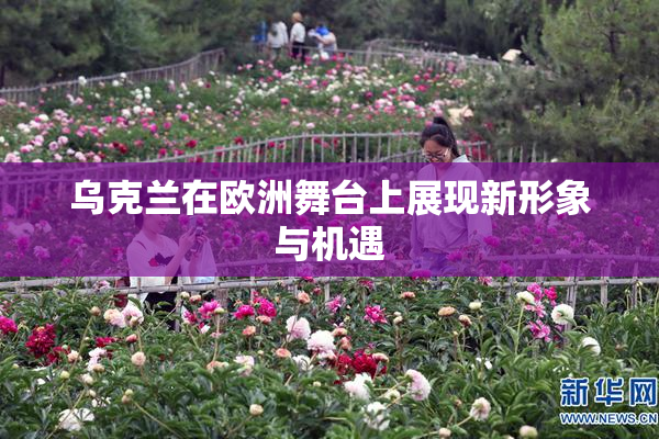 乌克兰在欧洲舞台上展现新形象与机遇