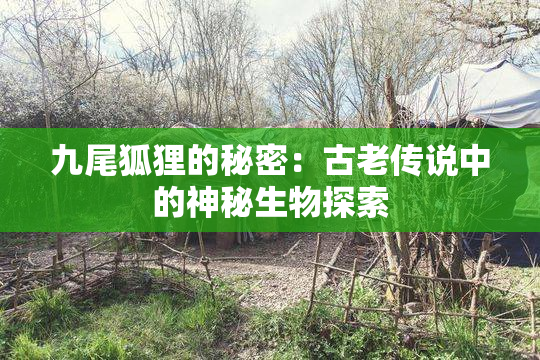 九尾狐狸的秘密：古老传说中的神秘生物探索