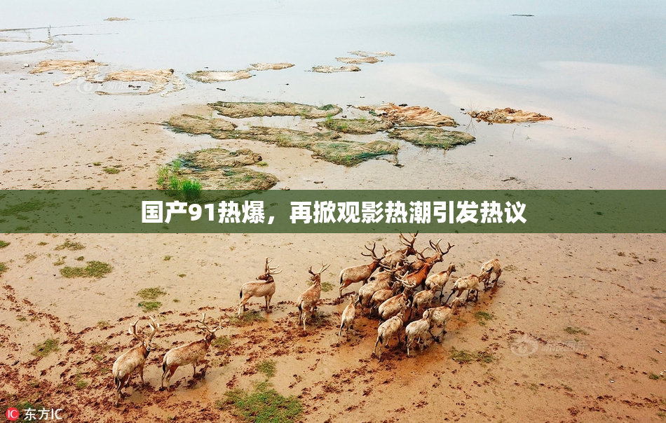 国产91热爆，再掀观影热潮引发热议