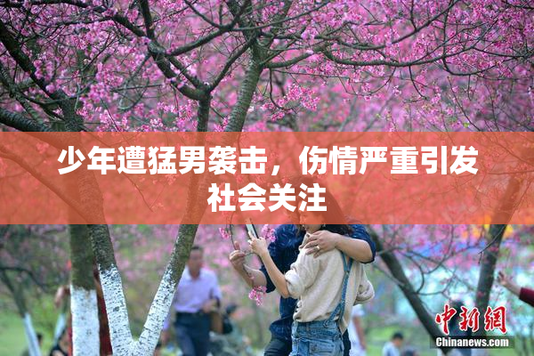 少年遭猛男袭击，伤情严重引发社会关注
