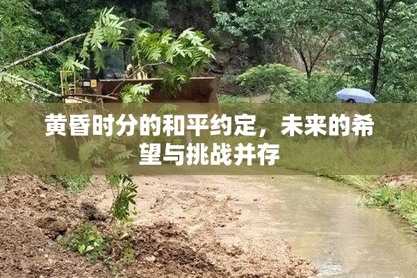 黄昏时分的和平约定，未来的希望与挑战并存