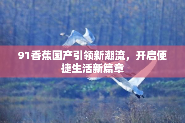 91香蕉国产引领新潮流，开启便捷生活新篇章