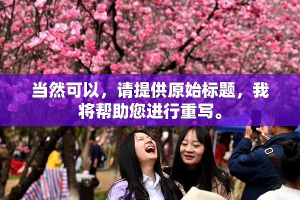 当然可以，请提供原始标题，我将帮助您进行重写。