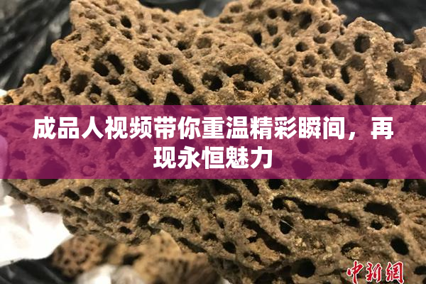 成品人视频带你重温精彩瞬间，再现永恒魅力